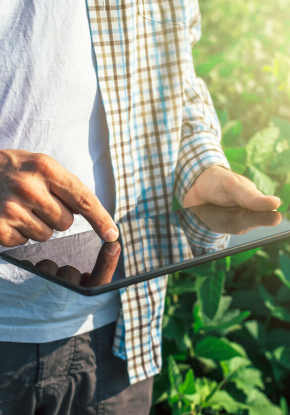 Farmer using digital tablet computer in cultivated soybean crops field, modern technology application in agricultural growing activity, selective focus